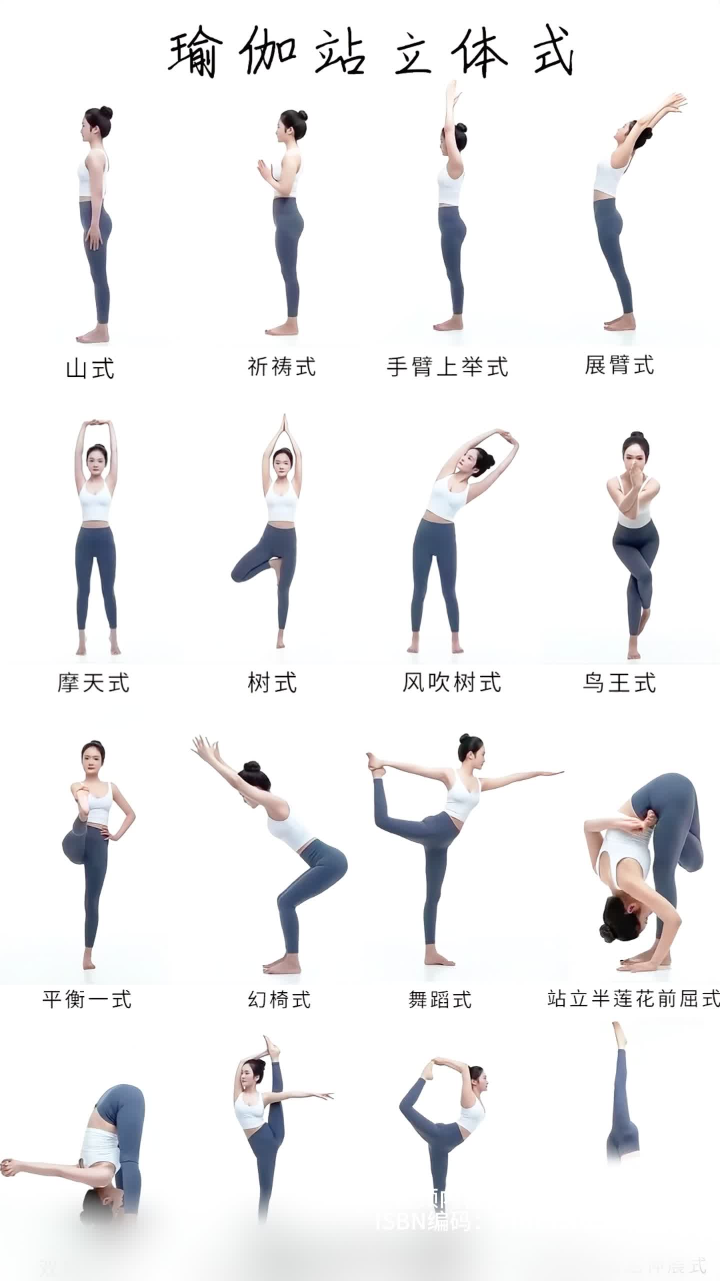 What are the categories of yoga (what are the categories and functions of yoga)